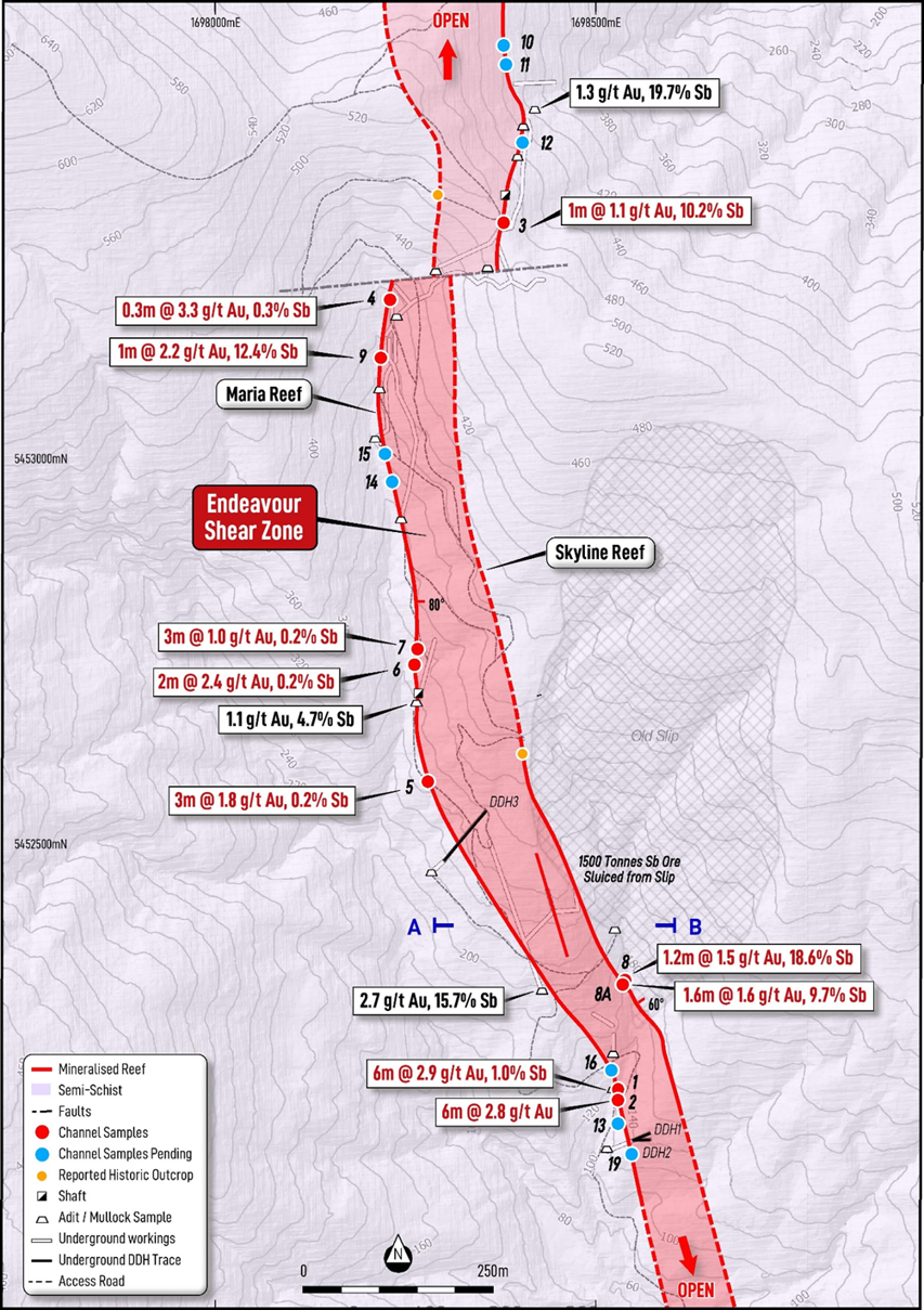 Endeavour Shear Zone Mineralisation