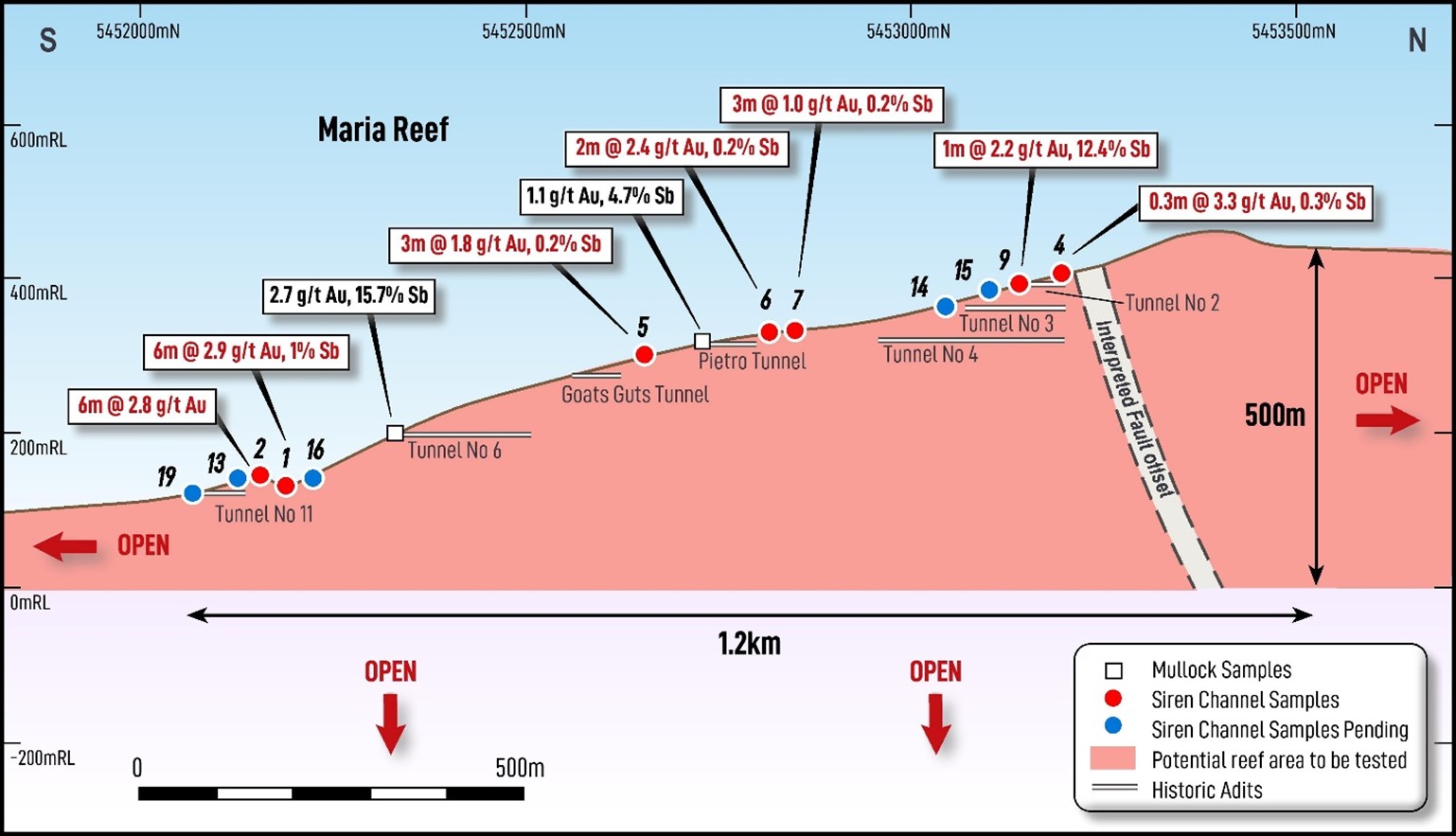 Endeavour Shear Zone Long Section